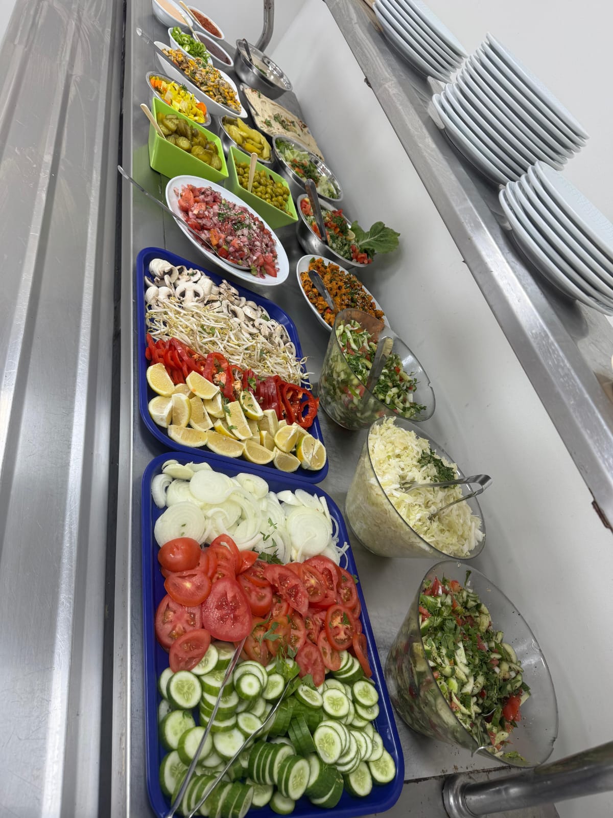 tevel-cat.co.il -  תמונה מס 4 מפס יצור