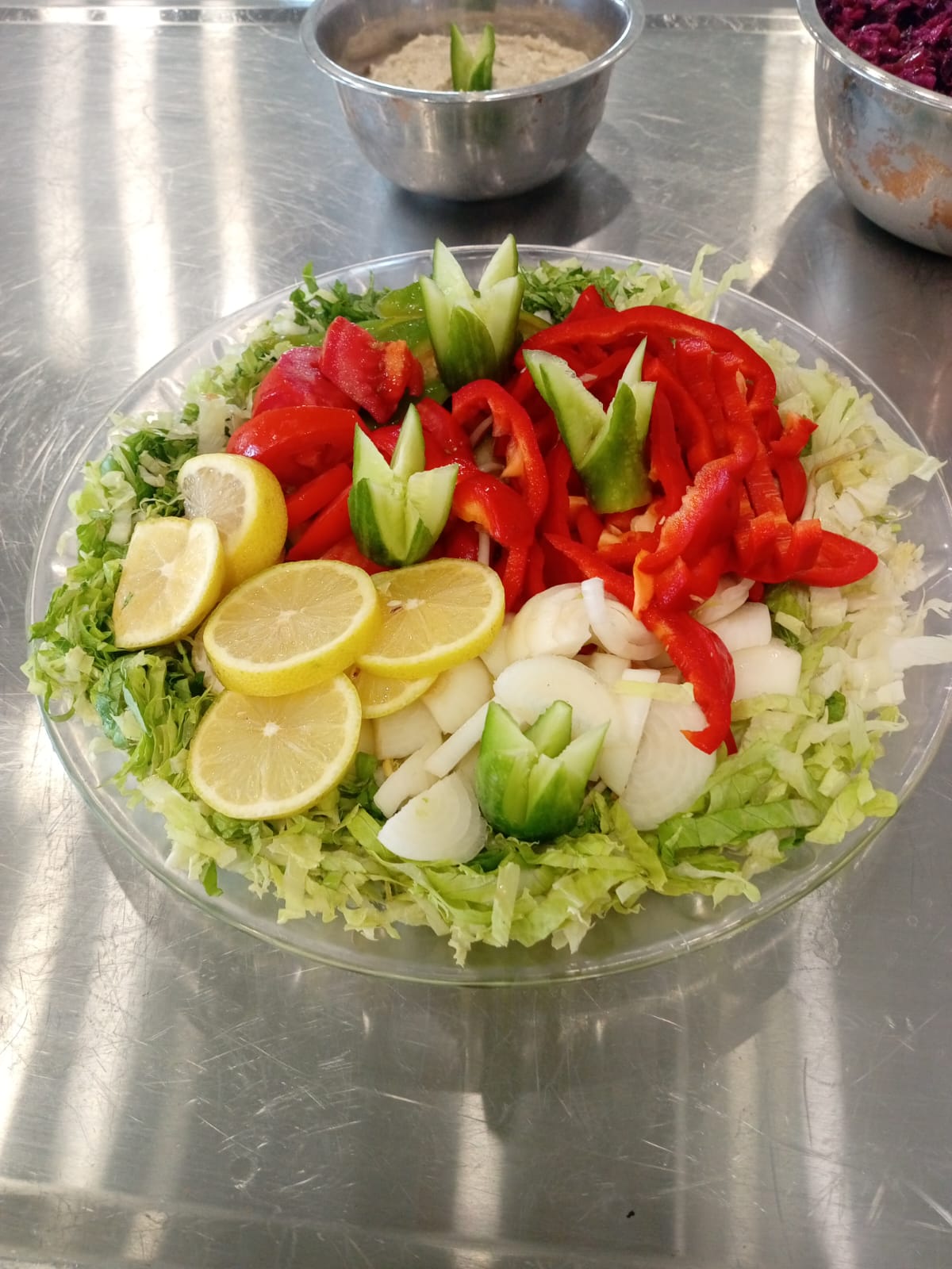 tevel-cat.co.il -  תמונה מס 5 מפס יצור