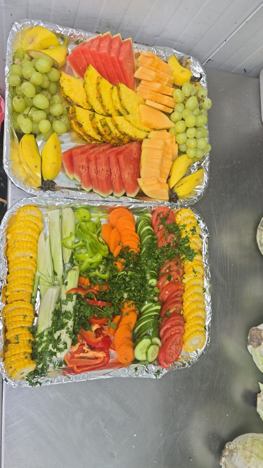 tevel-cat.co.il -  תמונה מס 7 מפס יצור