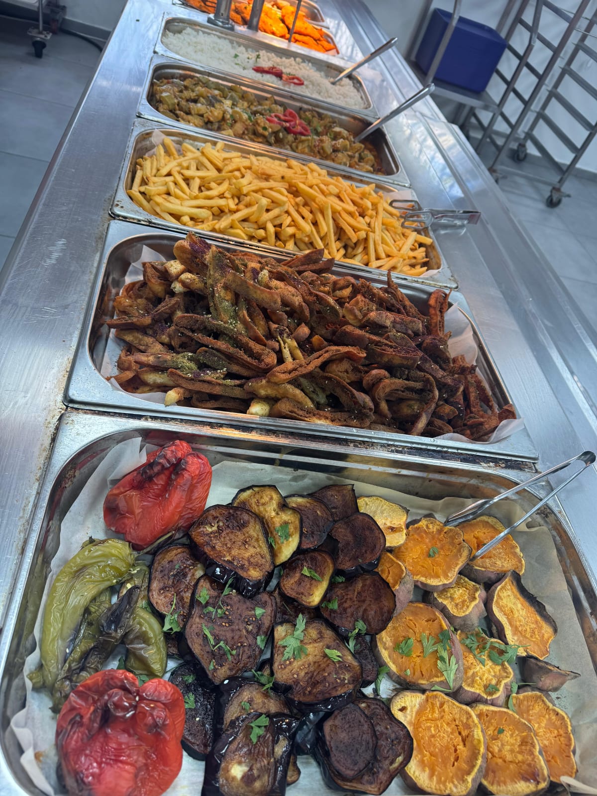 tevel-cat.co.il -  תמונה מס 8 מפס יצור